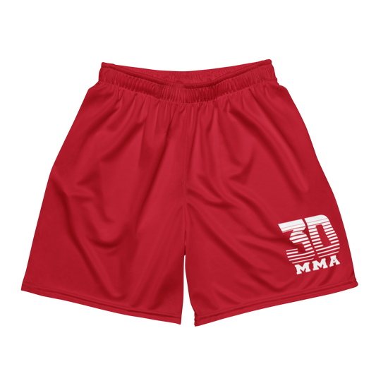 Men's mesh shorts